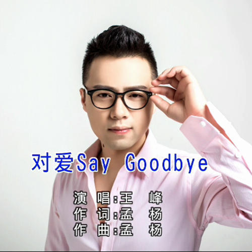 对爱Say Goodbye