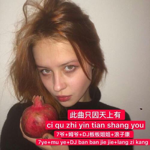 此曲只因天上有