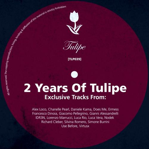 Two Years Of Tulipe