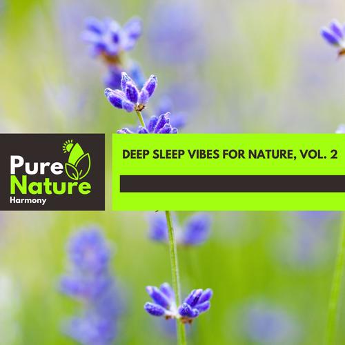 Deep Sleep Vibes for Nature, Vol. 2