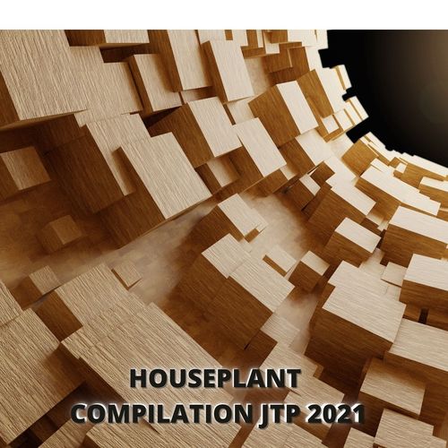 HOUSEPLANT COMPILATION JTP 2021