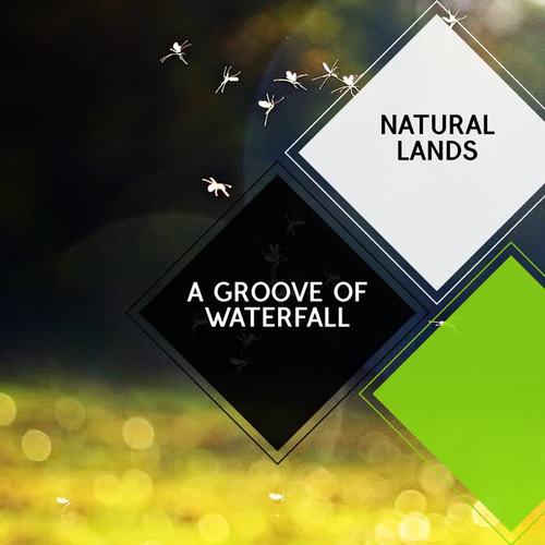 A Groove of Waterfall - Natural Lands