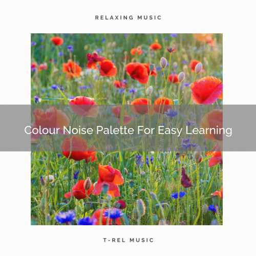 Colour Noise Palette For Easy Learning