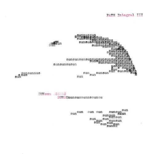 Path Integral III