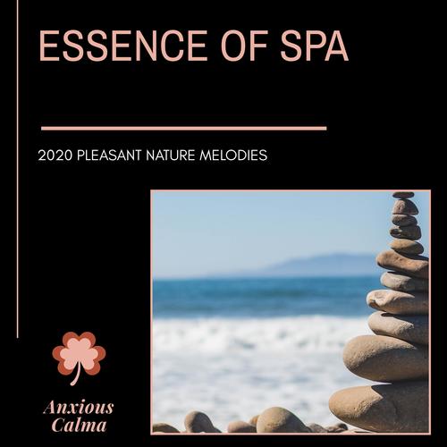 Essence Of Spa - 2020 Pleasant Nature Melodies