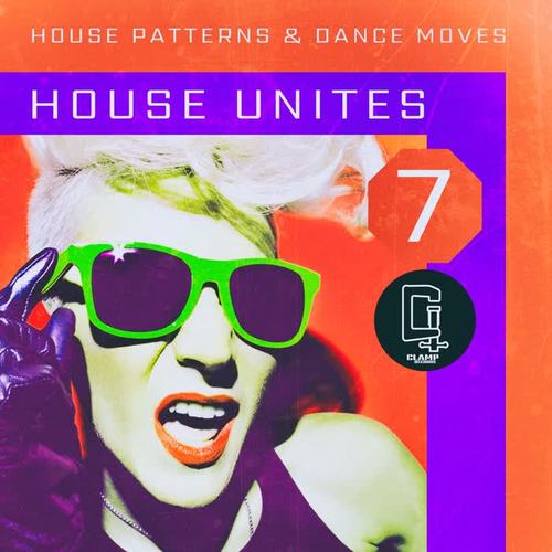 House Unites - Pattern 7