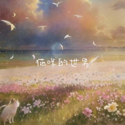 猫咪的世界