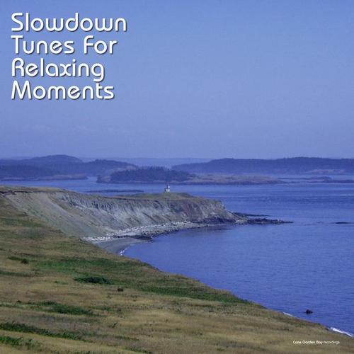 Slowdown Tunes for Relaxing Moments