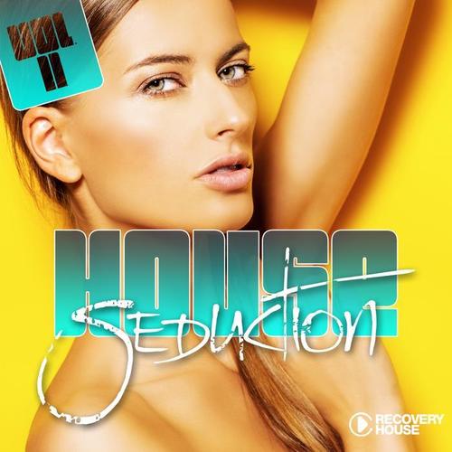 House Seduction, Vol. 11