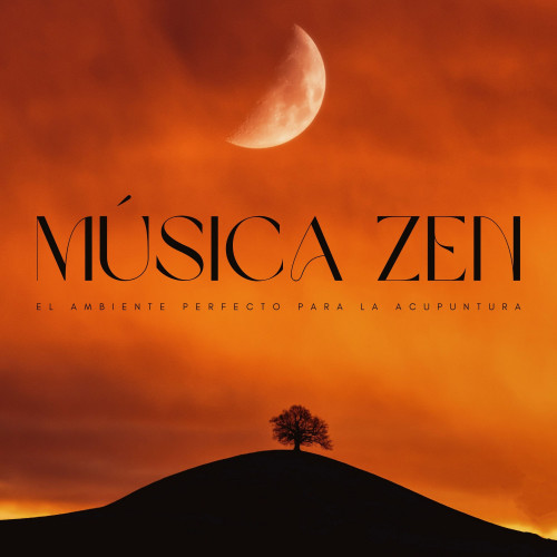 Música Zen: El Ambiente Perfecto Para La Acupuntura