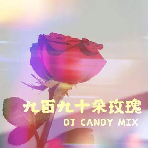 九百九十朵玫瑰（DJ Candy Mix）