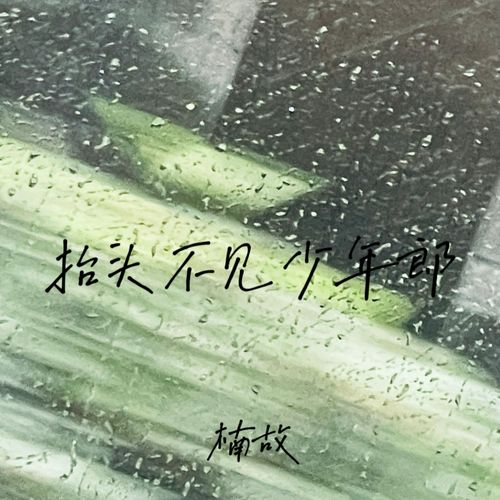 抬头不见少年郎