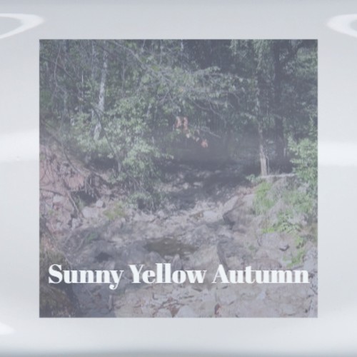 Sunny Yellow Autumn