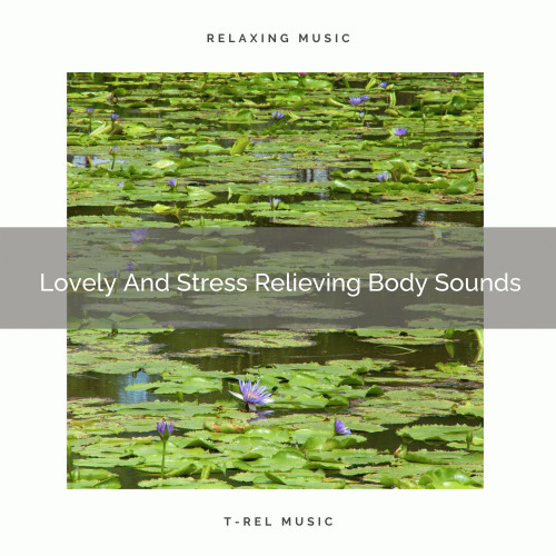 Lovely And Stress Relieving Body Sounds