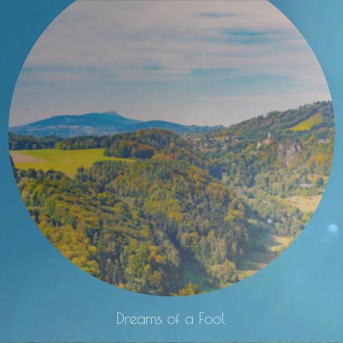 Dreams of a Fool