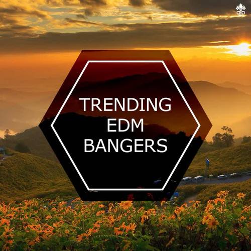 Trending EDM Bangers