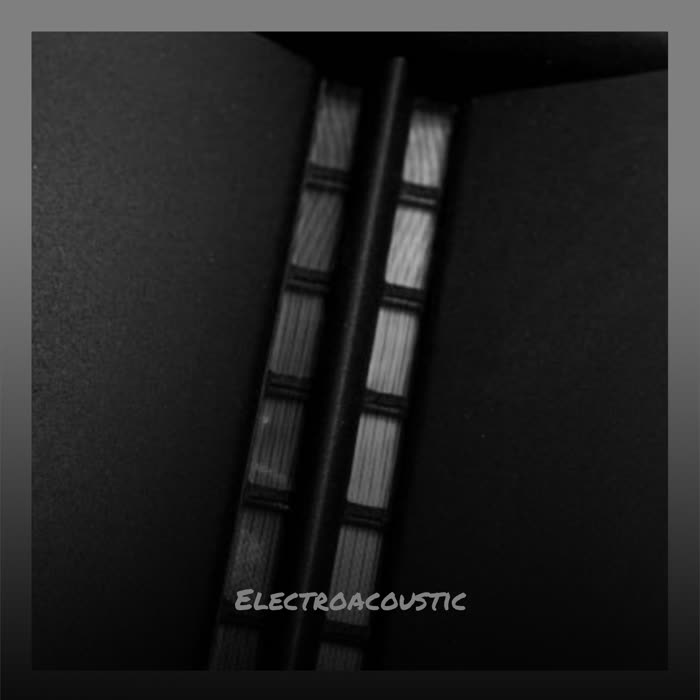 Electroacoustic