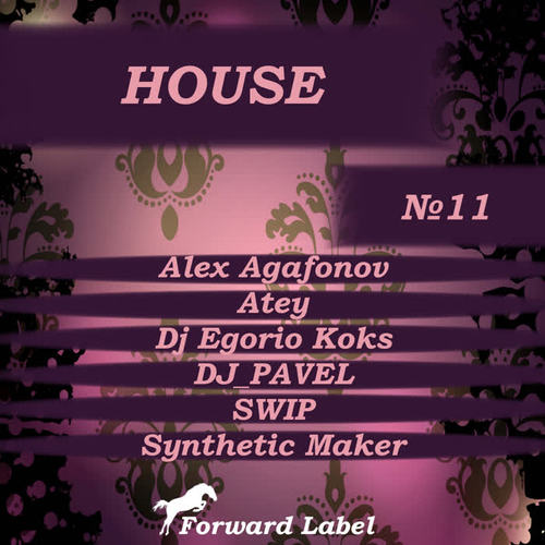 House N.11