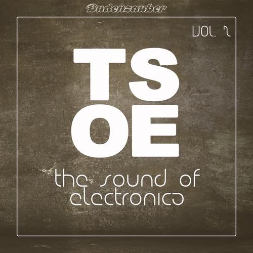 TSOE (The Sound of Electronica) , Vol. 2