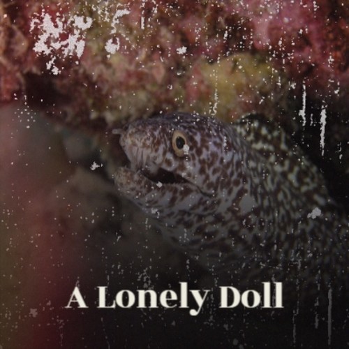 A Lonely Doll