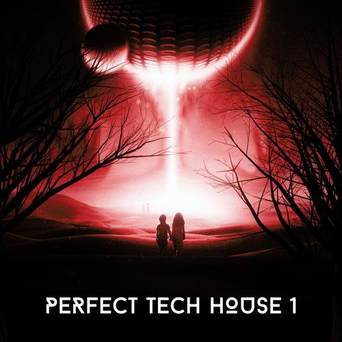 Perfect Tech House, Vol. 1