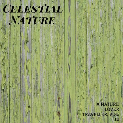 Celestial Nature - A Nature Lover Traveller, Vol. 10