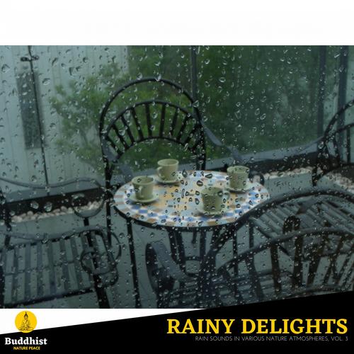 Rainy Delights - Rain Sounds in various Nature Atmospheres, Vol. 3