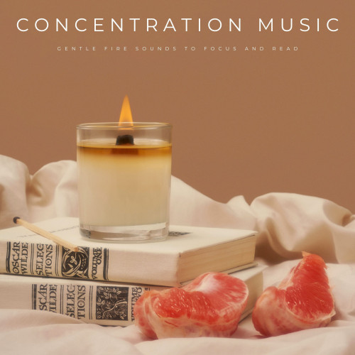 Concentration Music: Gentle Fire Sounds To Focus And Read
