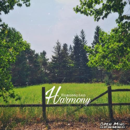 Harmony (Revised)