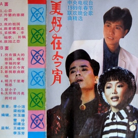 美好在今宵 1989年春节晚会歌曲精选二