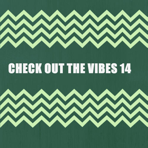 CHECK OUT THE VIBES 14