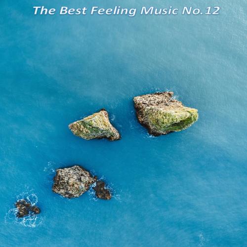 The Best Feeling Music No.12