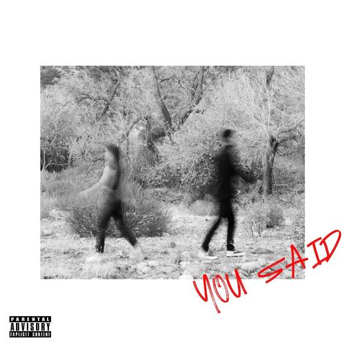 You Said (feat. Bo Pezzini, W & Jill) [Explicit]