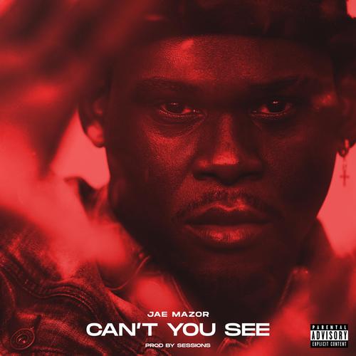 Can't You See (Explicit)