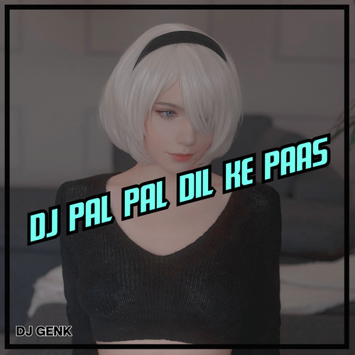 DJ Pal Pal Dil Ke Paas (Remix)