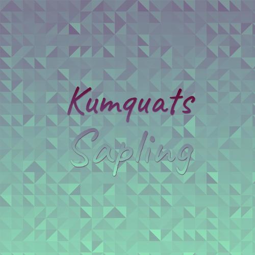 Kumquats Sapling