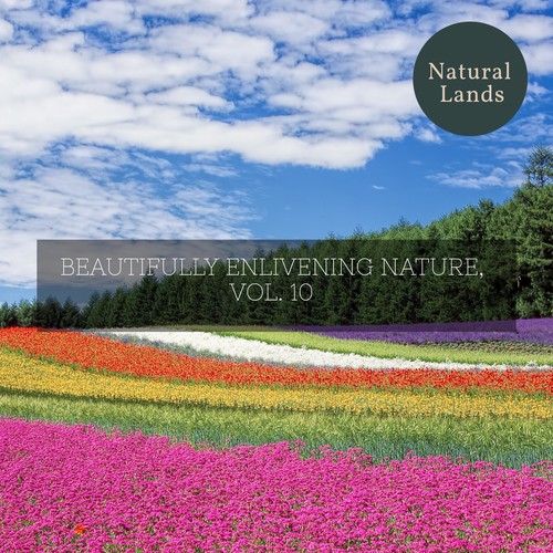 Beautifully Enlivening Nature, Vol. 10