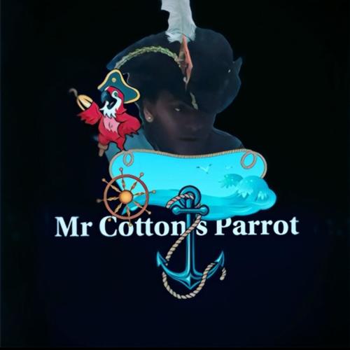 MR Cottons Parrot (What Did The Bird Say) (feat. Salvatore Ganacci) [Radio Edit]