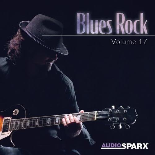 Blues Rock Volume 17