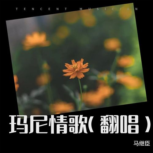 玛尼情歌(翻唱)