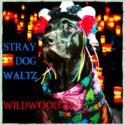 The Stray Dog Waltz