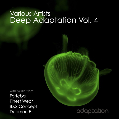 Deep Adaptation, Vol. 4