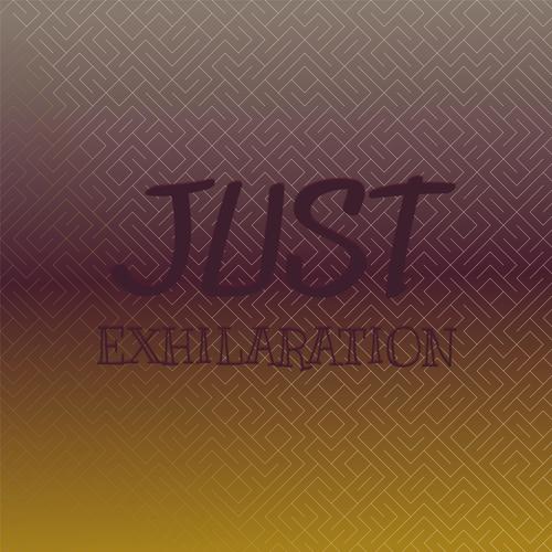 Just Exhilaration