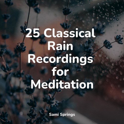 25 Classical Rain Recordings for Meditation