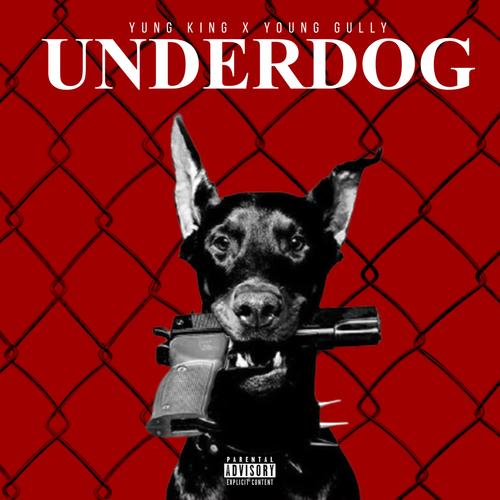 Underdog (feat. Young Gully) [Explicit]