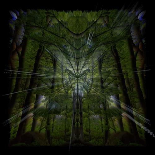 The Source