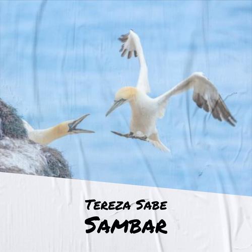 Tereza Sabe Sambar