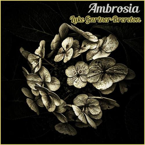 Ambrosia