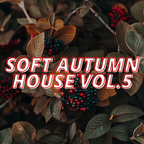 Soft Autumn House Vol.5