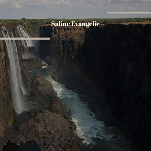 Saline Evangelic